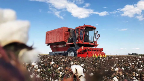 首页-人生就是博中国官方网站