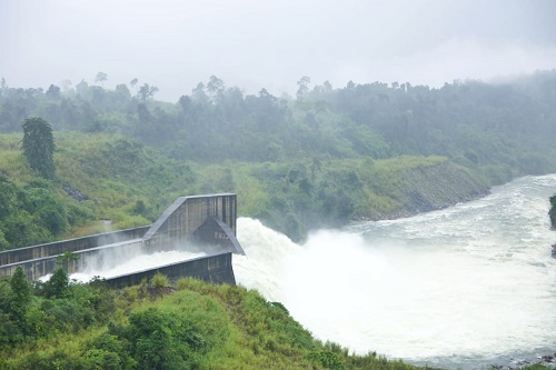 W020210203606446599081