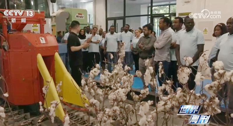 首页-人生就是博中国官方网站