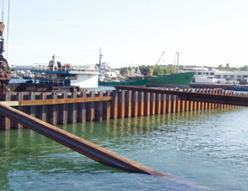 W020141125602014778519