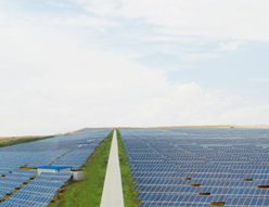 W020141125586169880061