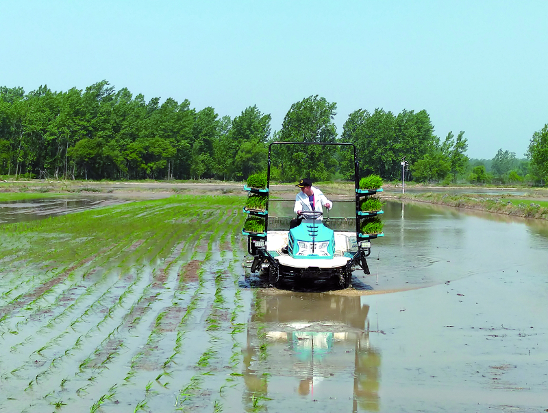 首页-人生就是博中国官方网站